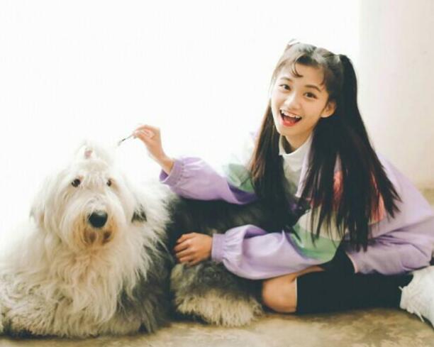 在中国10个品种的狗狗最受欢迎,现在最流行的狗狗是什么品种