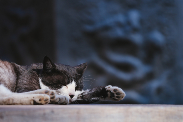 eos200d第一代拍照,eos200dii视频