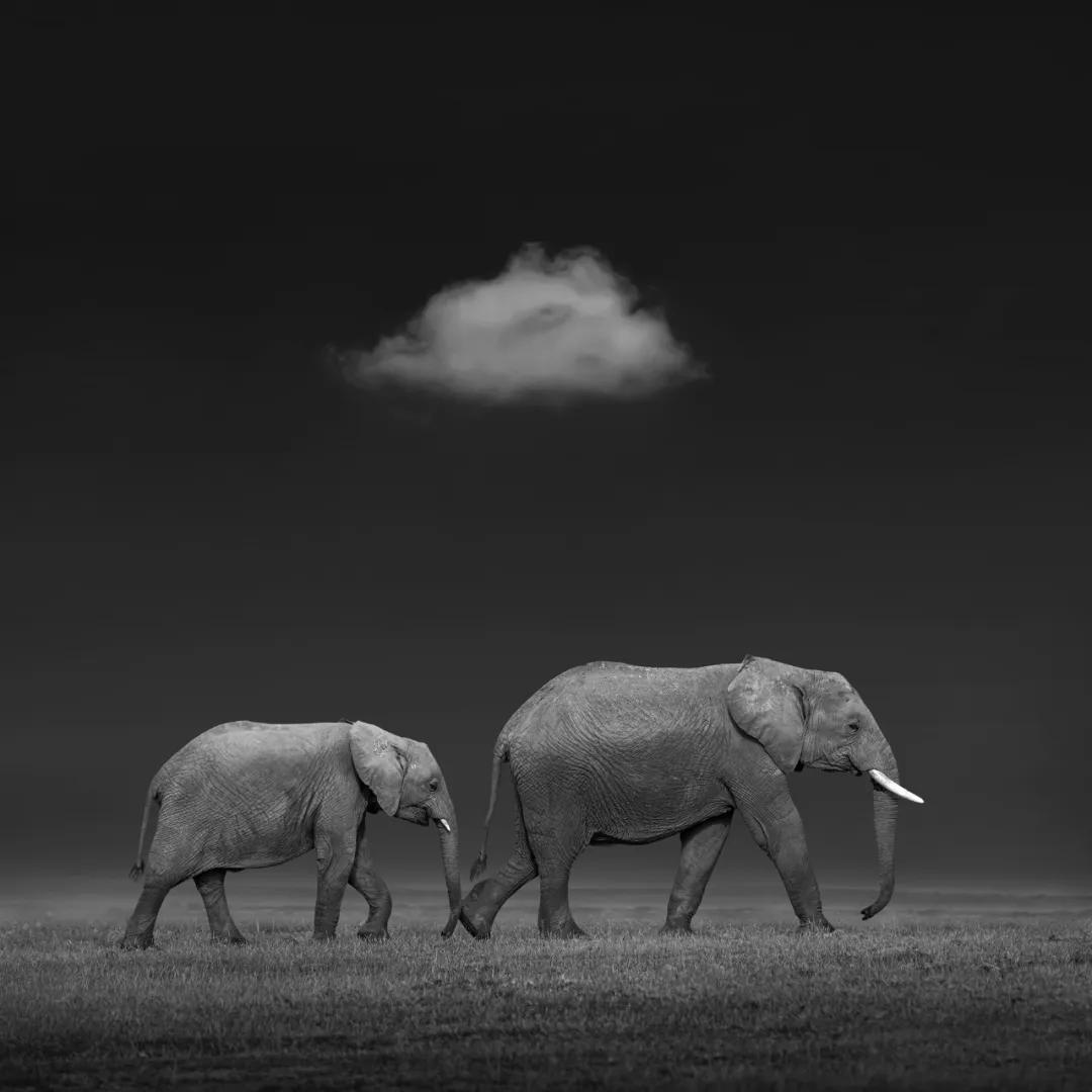 香港第14届全国摄影艺术展,第29届全国摄影艺术展览获奖名单