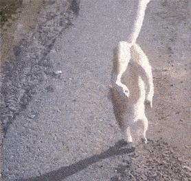 30种网赚骗术套路揭秘超深度干货,常见的20种网赚骗术揭秘