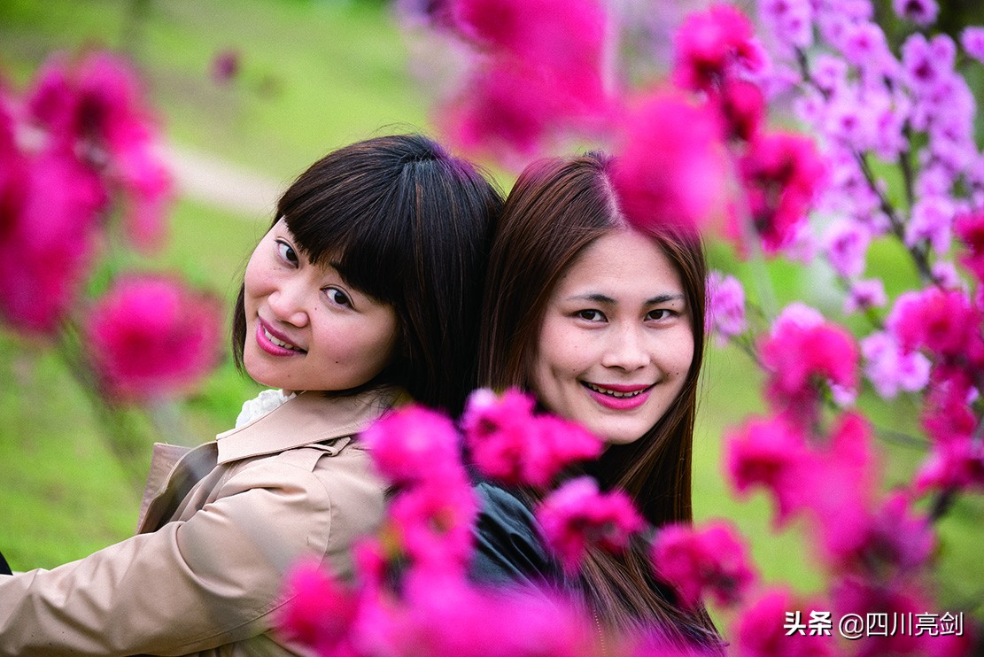 致敬无悔的青春,致敬无悔的青春完整版