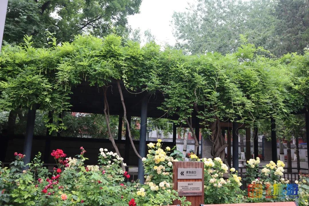 北京免费的花海公园,北京免费花海景区