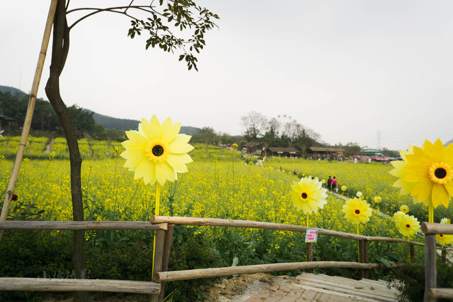 济南千佛山一日游最佳攻略,佛山周边泡温泉的地方一日游