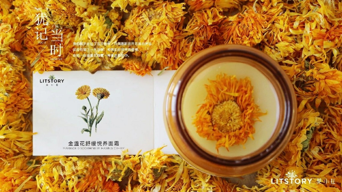 一个关于金盏花的美丽故事--莫小在金盏花舒缓悦养面霜