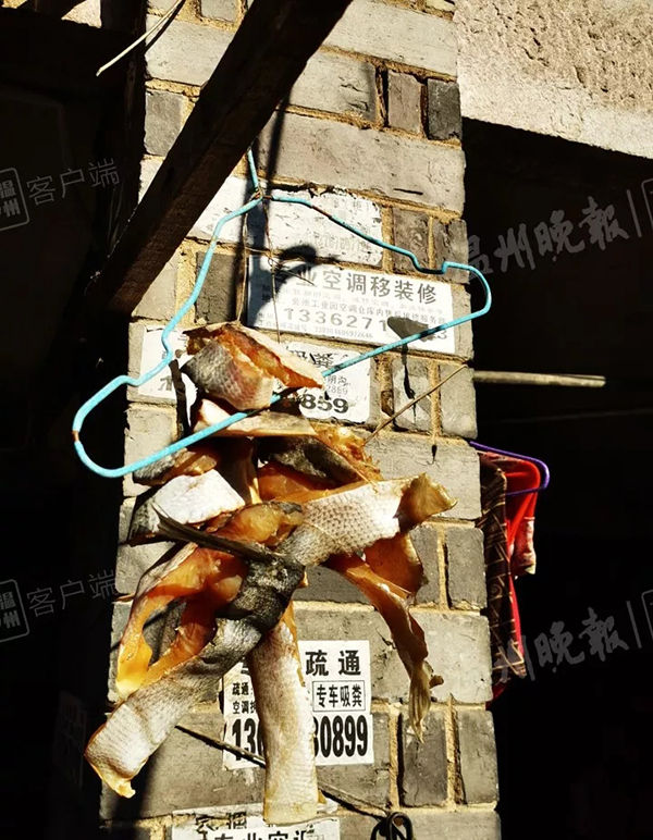 买鱼过年,过年卖鱼需要注意什么