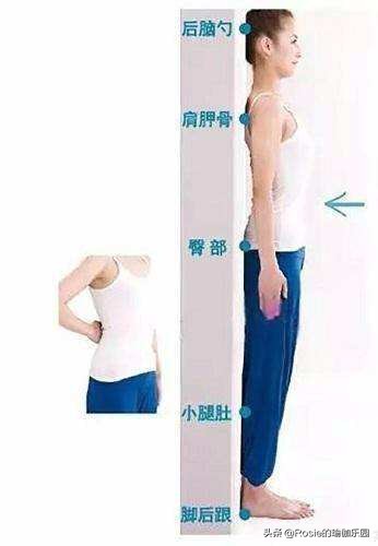 肋骨外翻怎么改善回来,肋骨外翻改善法