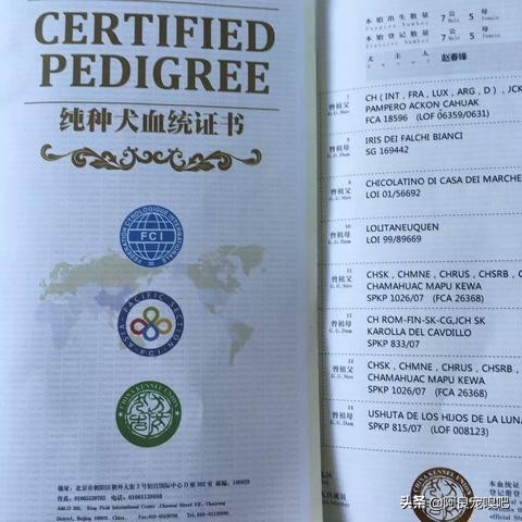 去国外进口或国内少数纯种繁育场购买纯种犬时，应索取的四个文件