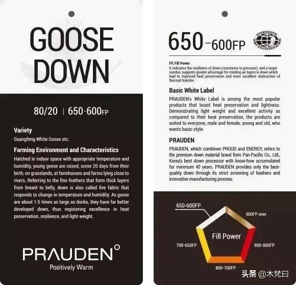 羽绒服谁都有，“懂买”羽绒服没几个，怎么选才能既保暖又时髦