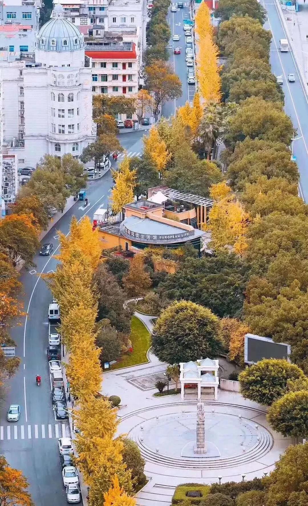 有着双重人生的小城青田，你对它的实力一无所知