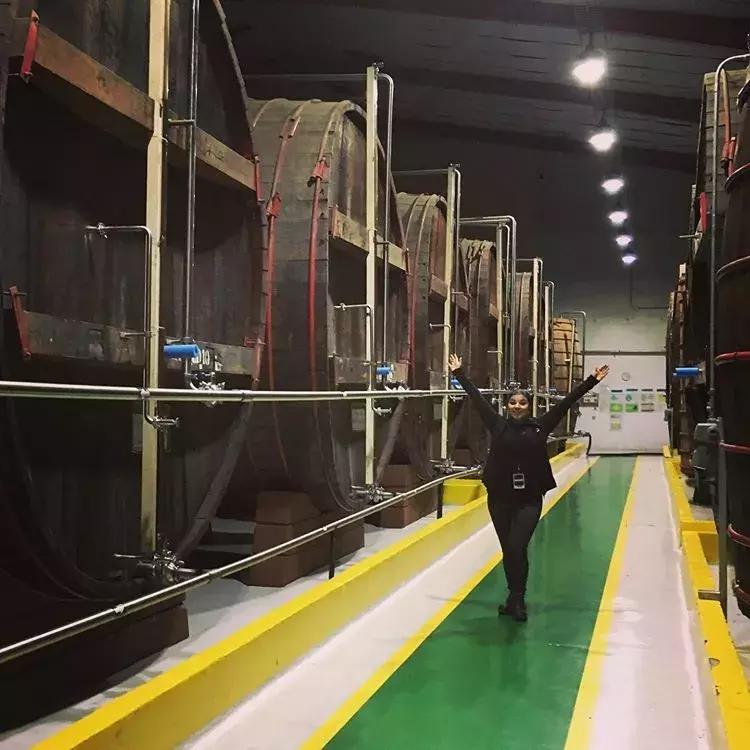 洋酒工艺的巅峰，橡木桶里的老汤？！走近“桶体蜈蚣”索雷拉陈酿