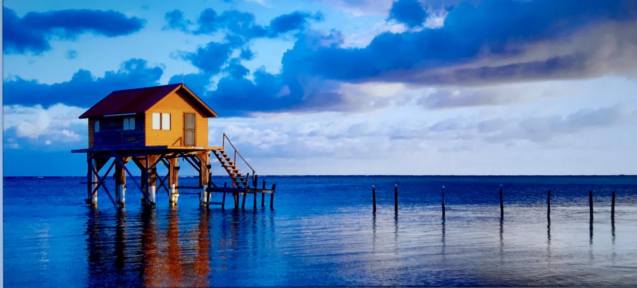 lg超薄oled电视评测,外观设计非常绚丽又亮眼