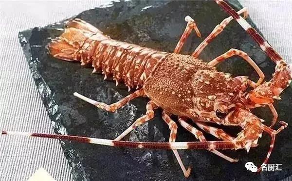 世界高端海鲜品牌,世界顶级海鲜在哪里