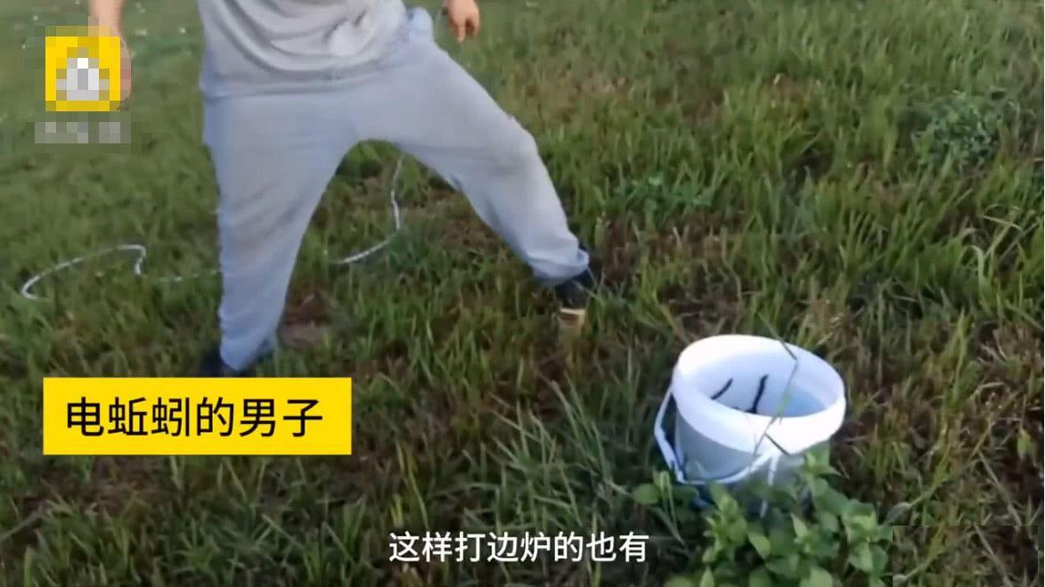 电击捕蚯蚓方法,电蚯蚓对土壤的危害