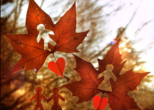 白茶清欢学着长大,白茶清欢怎么样