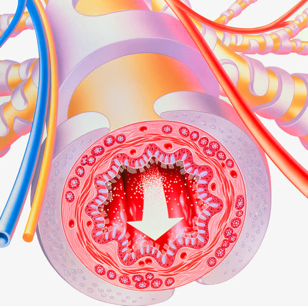镇咳效果最强的中枢性镇咳药是,磷酸苯丙哌林是中枢性镇咳药吗