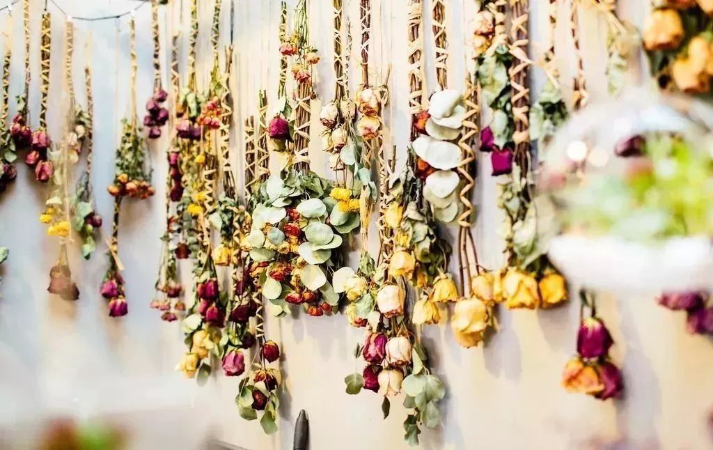 独辟蹊径的生意,独辟蹊径2020