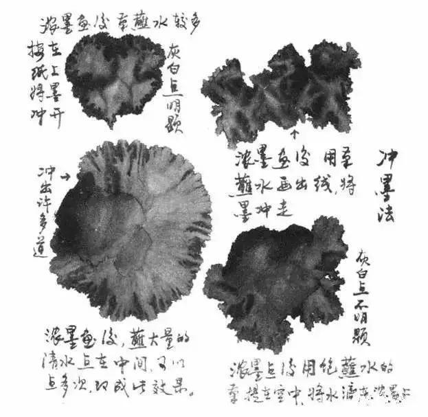 写意花鸟配景石的画法,干货写意花鸟类的画法