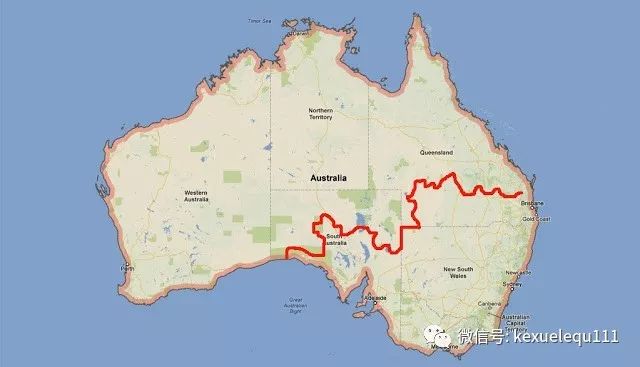 杀死一只兔子的预兆,杀死兔子的方法