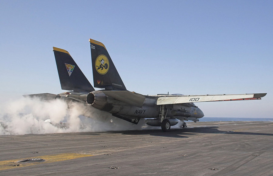 猫迷必备技能，F-14各型号的辨别