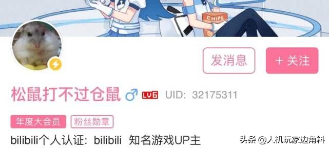 b站一位up主炒股,b站炒股up主