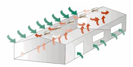 天气潮湿蘑菇长霉了怎么办,梅雨季节房间墙壁长霉怎么处理