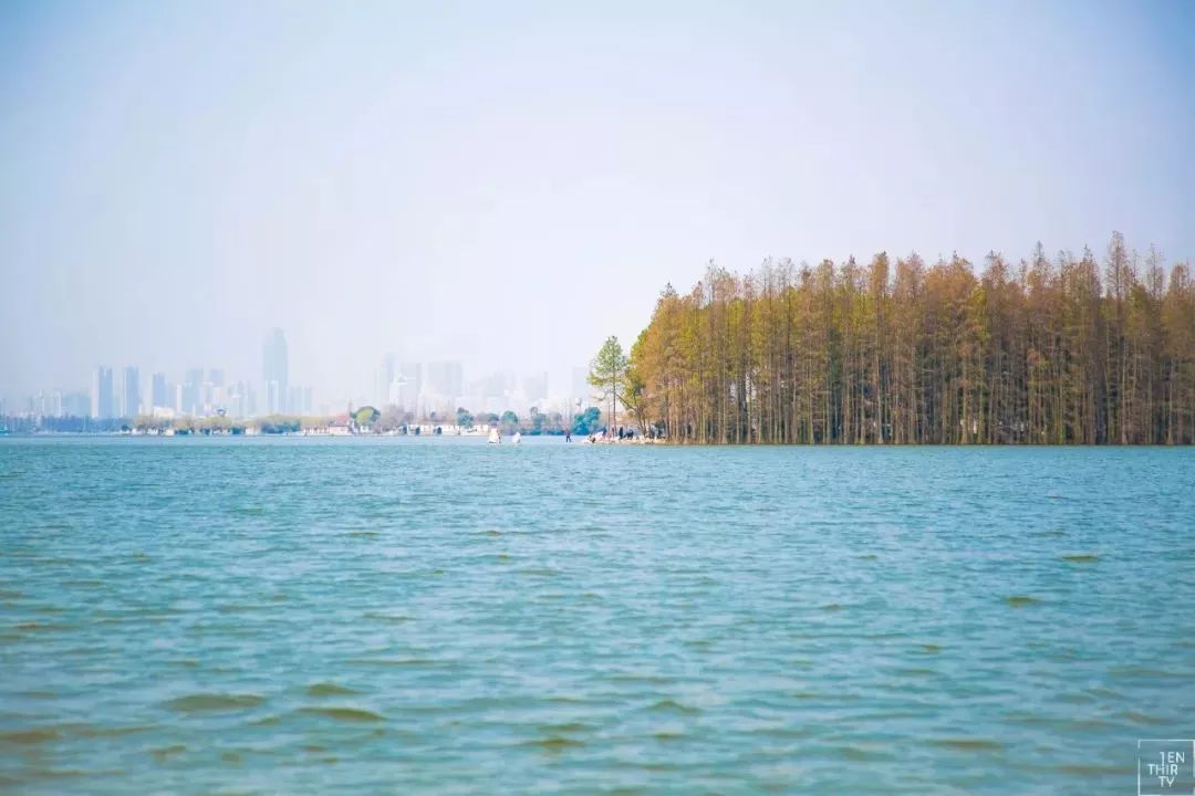 武汉11月打卡景点和网红地,武汉50个值得打卡的地方