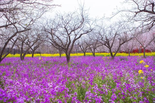 五月拍照适合什么主题,6月适合的拍摄主题