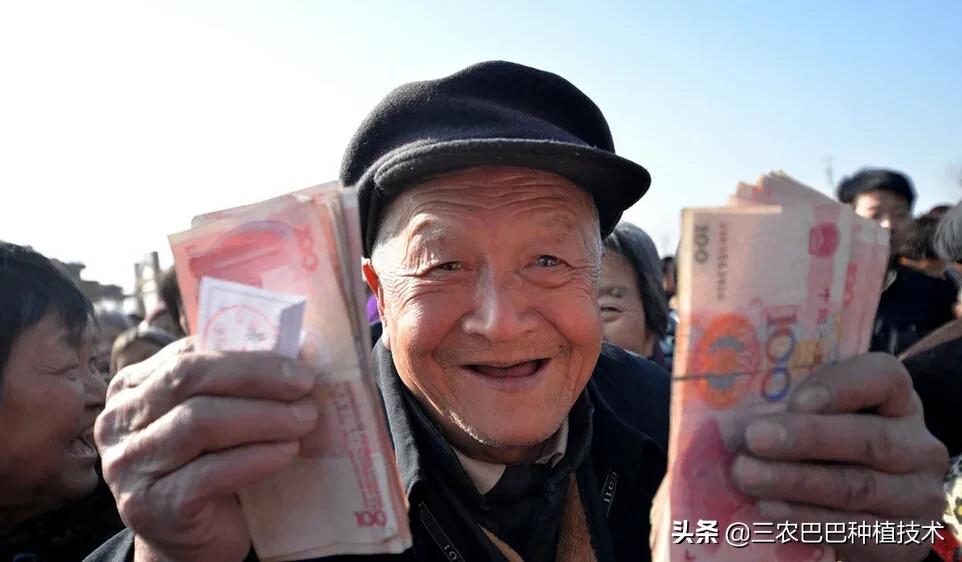 农民怎么领取国家补助,国家补贴的钱一直没到怎么办