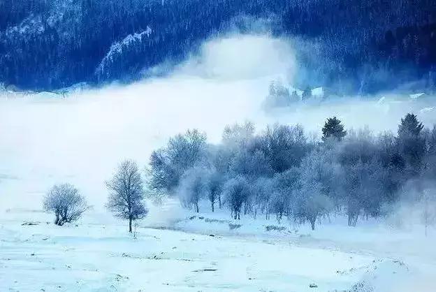 冬天的阿勒泰冰雪,冬天的雪冰雪奇缘
