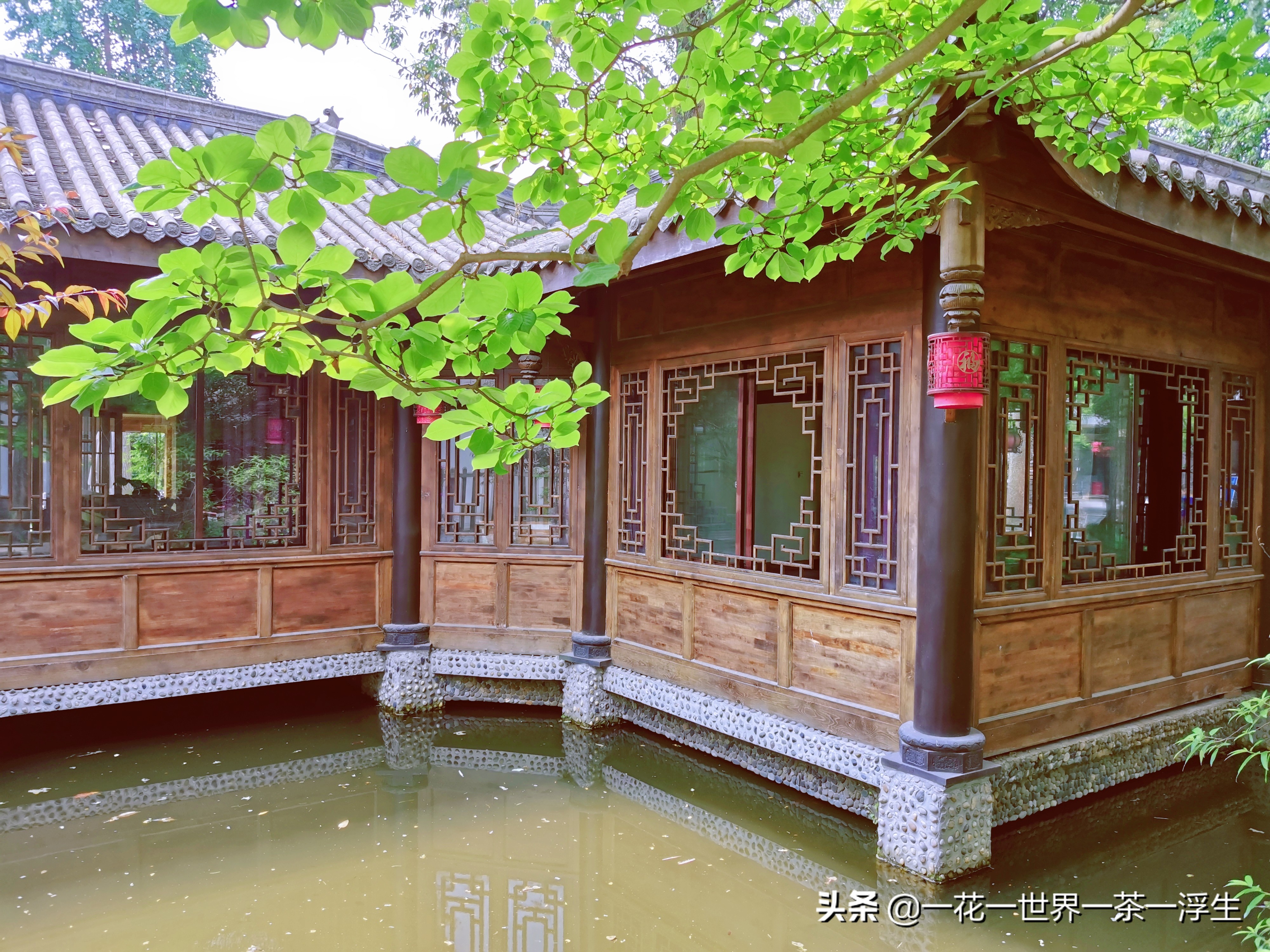 寻找巴适的成都小院(2)