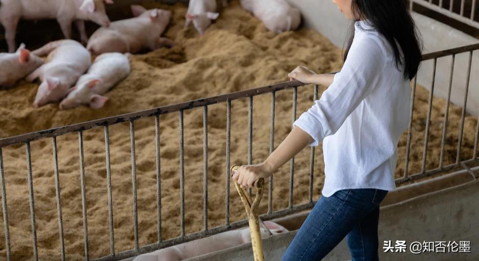 回农村创业要想好哪些问题,回农村创业做什么能够有前途