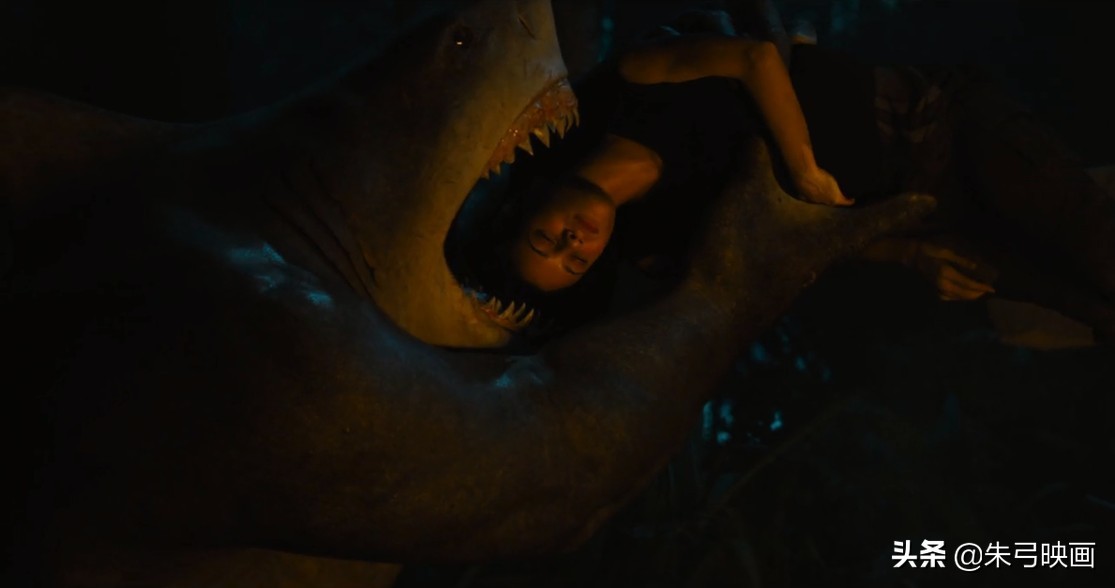 x特遣队全员集结揭露了什么,x特遣队全员集结最后彩蛋