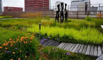 日均客流350万,日均客流量30万