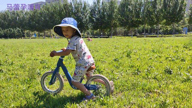 养了四年神兽，我买了这几辆车，很值