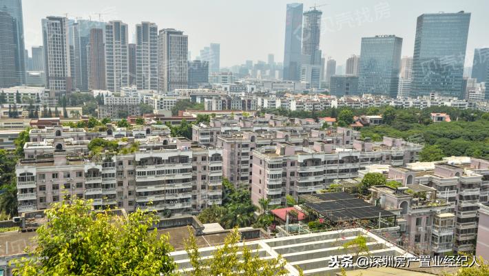 南山几大学位名校你该如何选择，学位刚需末班车时机来临