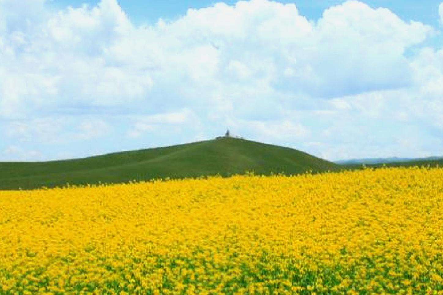 黑龙江有个什么之城称号,黑龙江有个小县城