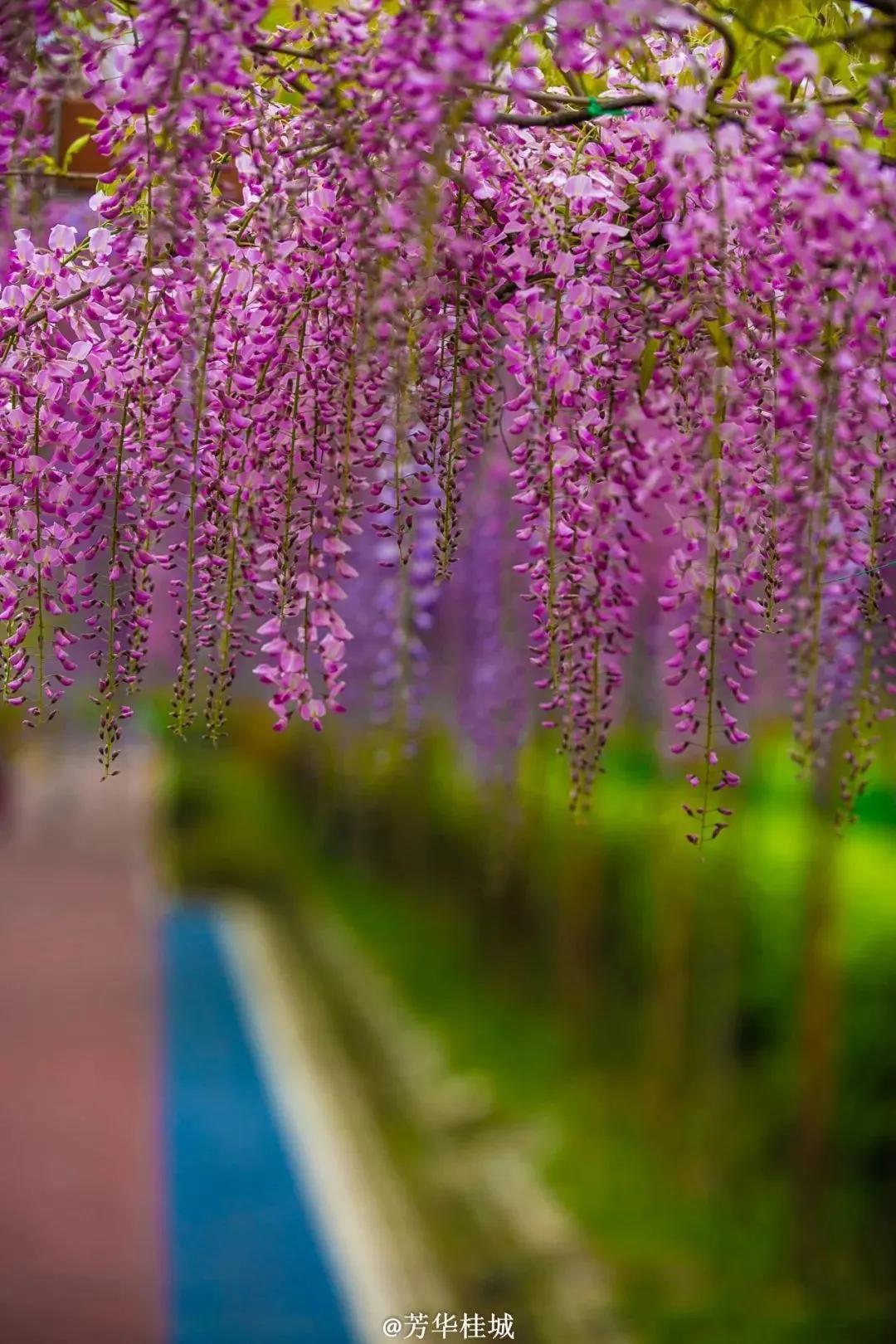 周边有什么可逛的地方吗,4月适合去哪儿旅游攻略