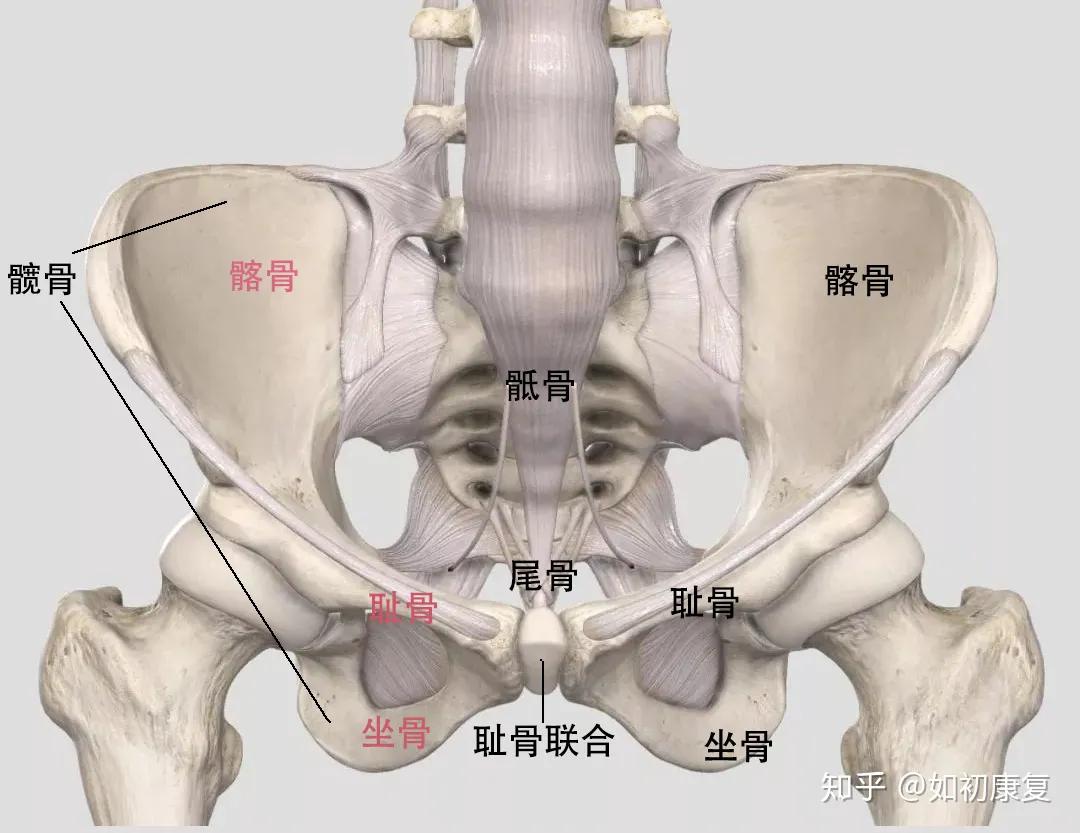 中医催乳师产后修复,催乳产后修复网上课程