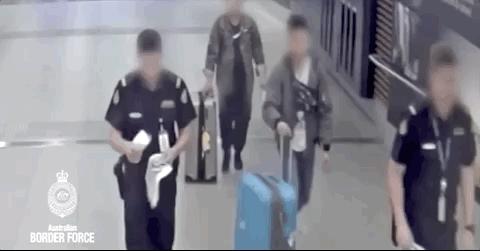 澳洲带烟入境被罚经历,顶风作案偷渡