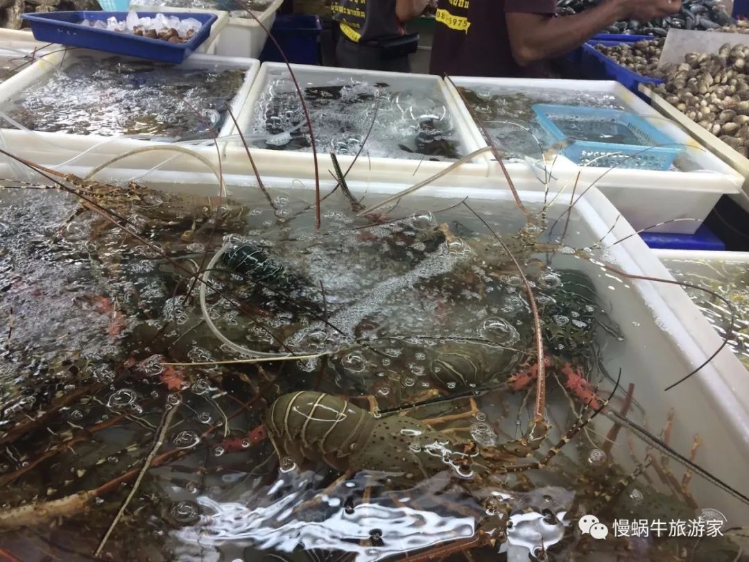 这个南国海岛高铁直达，海鲜超级便宜大人不累、孩子很开心