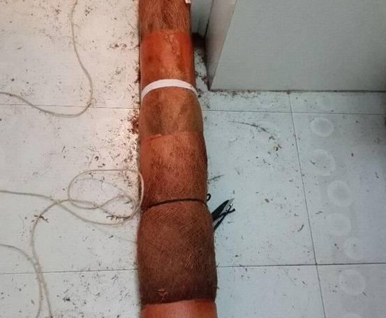 绿萝怎么造型更好看,大绿萝怎么做造型好看