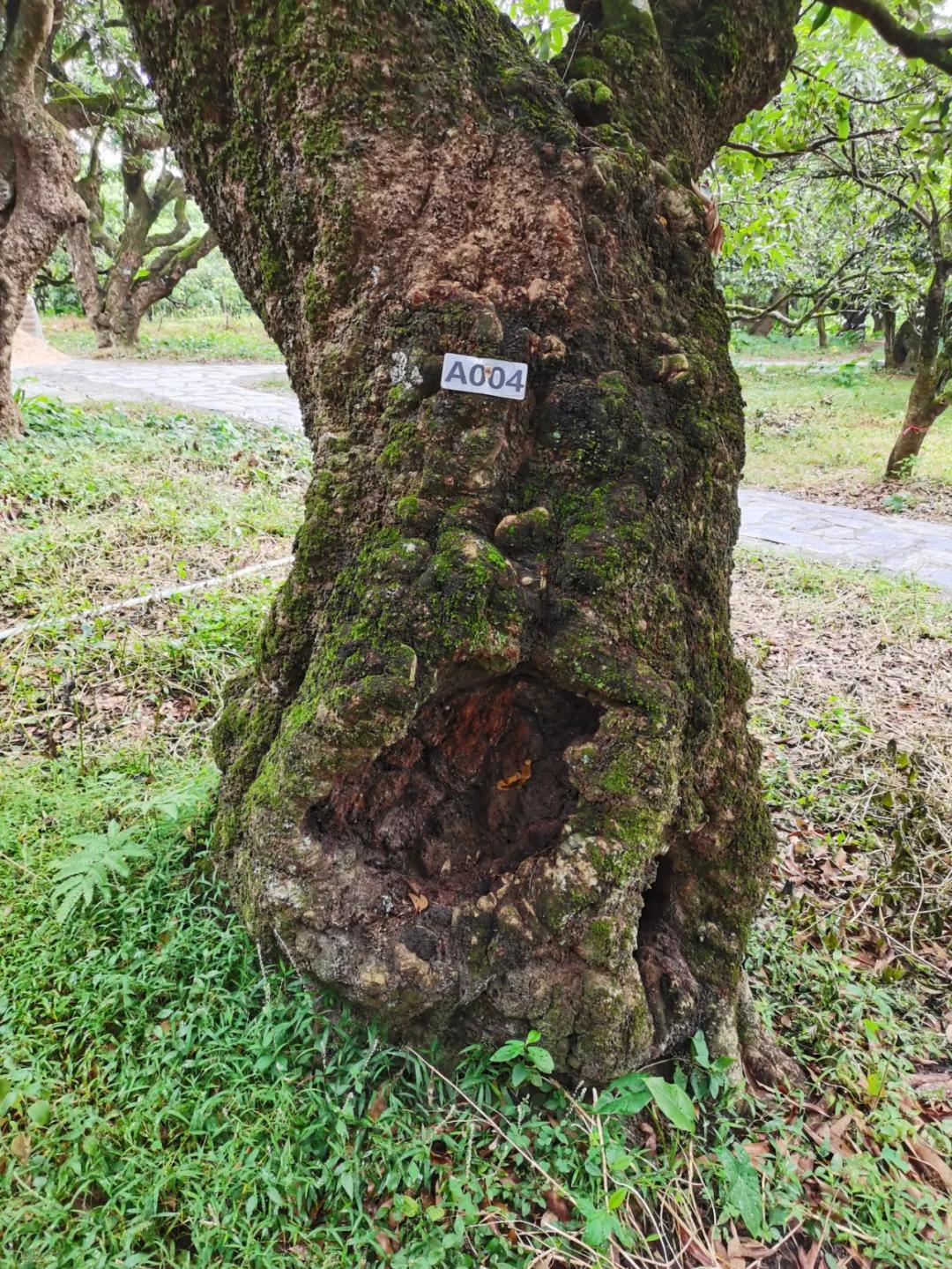 检察蓝用心守护海洋蓝,检察蓝守护最美夕阳红