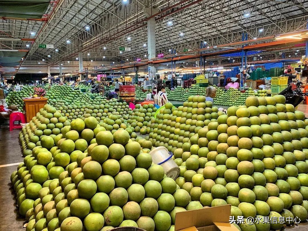 西双版纳水果市场榴莲 (上海亚洲最大的水果批发市场榴莲)