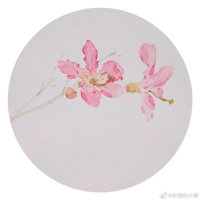 分享一组好看的小清新水彩插画,不来看看简单水彩小插画的教程吗