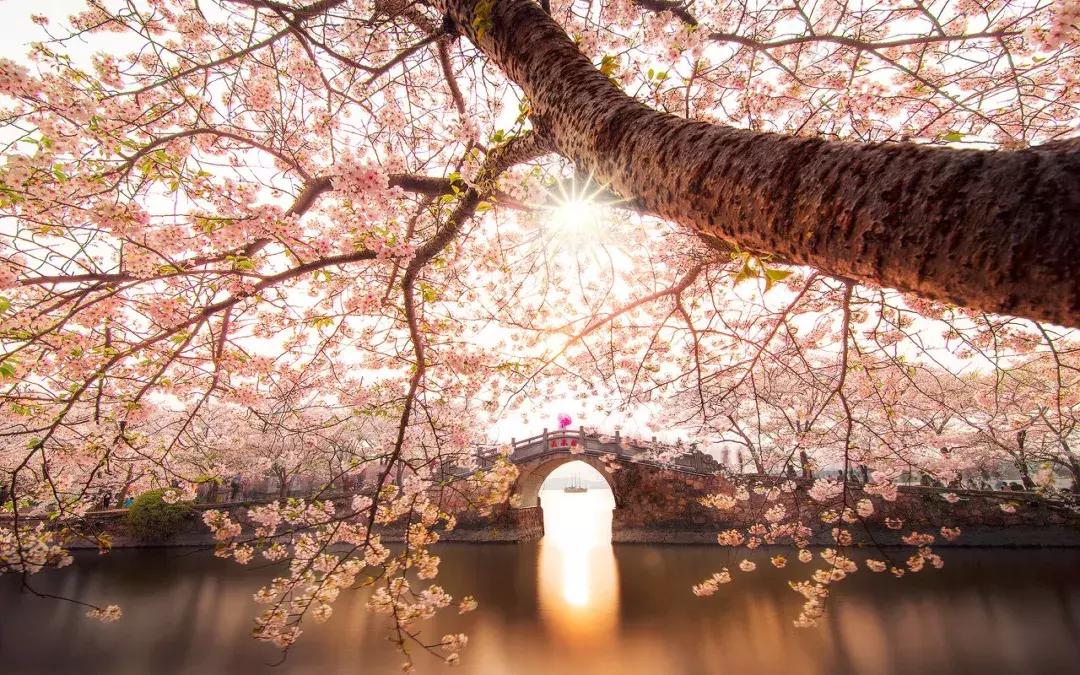 五一这样拼假可连休9天,快来看五一放假四天最全拼假攻略