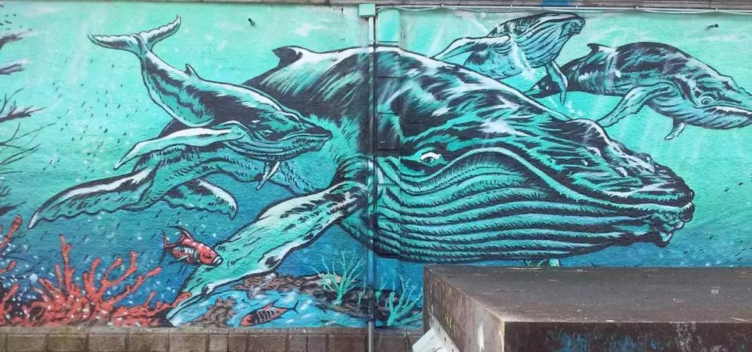 给0~1岁的新媒体人：公众号怎么配图？免费图片哪里找？