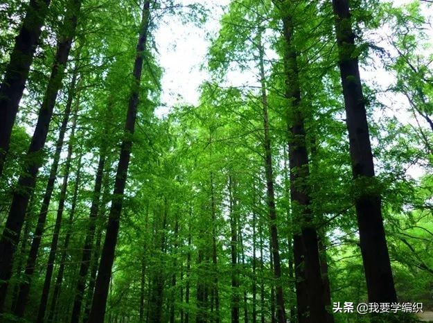 裸睡被子喷完除螨虫剂可以不洗吗,有螨虫的床裸睡会有什么危害