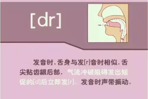 英语音标48个发音谐音表图片,英语音标发音48个教学视频