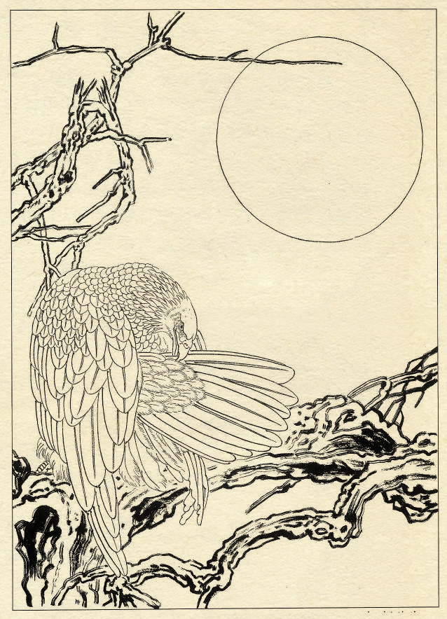 鹰的工笔底稿白描大图,白描鹰的画法图片