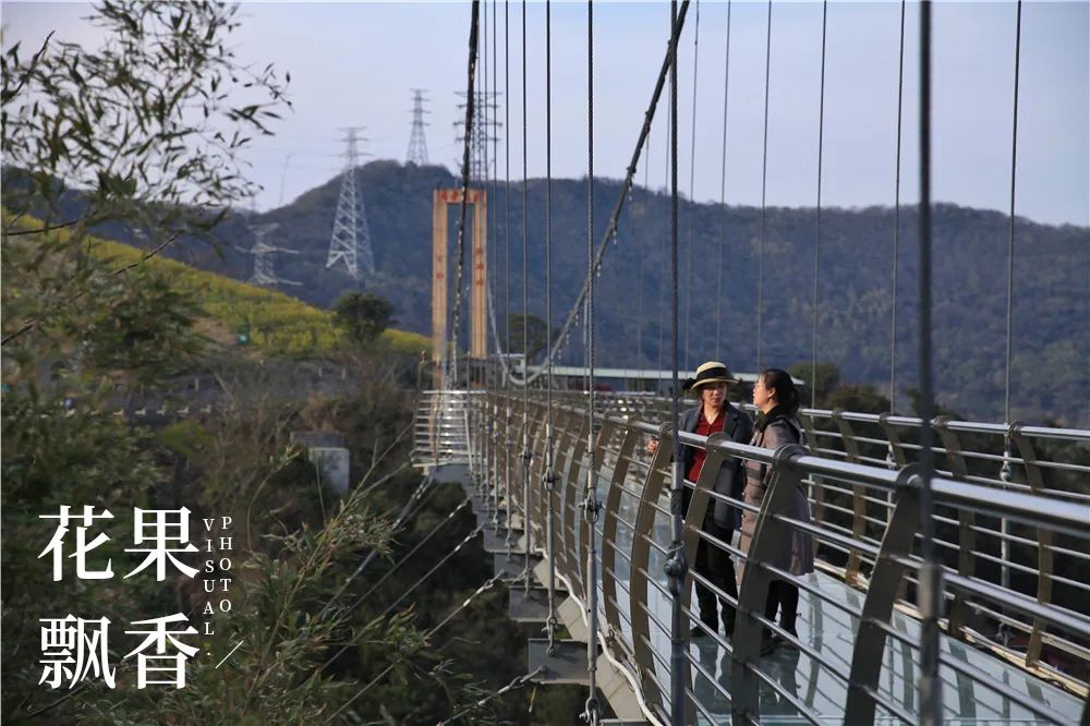 一位女村官的故事,一个农村姑娘的创业史